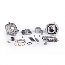 Malossi MHR TEAM Aluminium-Zylinder-Kit D 50 77cc Demontierbarer Kopf AM6