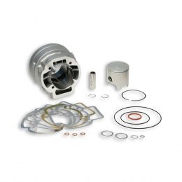 Cylindre aluminium Malossi MHR BIG BORE D 52 LC pour 3115385