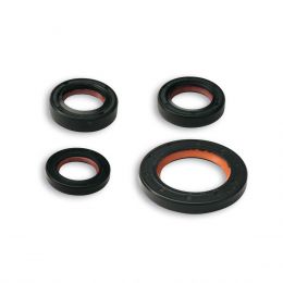 Malossi oil seal kit FKM for revision