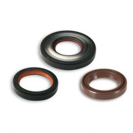 Kit joints d'huile Malossi FKM/PTFE pour révision