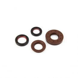 Kit joints d'huile Malossi FKM/PTFE pour révision