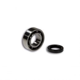 Ball bearing and oil seal kit for Malossi crankshaft 5316517 - 5316528