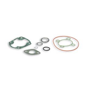 Kit joints pour kit cylindre Malossi D 47 31 9541