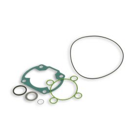 Dichtungssatz für Malossi Zylinder-Kit D 47 3112043