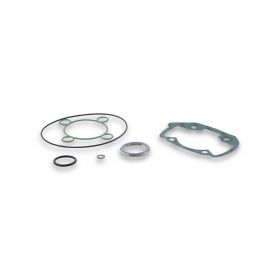 Kit joints pour kit cylindre Malossi D 40/47,6 3112898 - 3112890