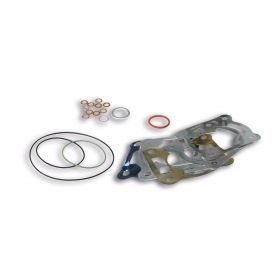 Kit guarnizioni per gruppo termico Malossi D 47,6/52 3115901 - 3115883