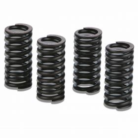 MALOSSI 2913068 Valve spring