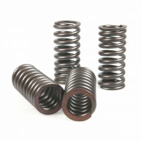 MALOSSI 2913068 Valve spring