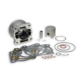 Malossi Aluminium-Zylinder D 52 LC für 3115883