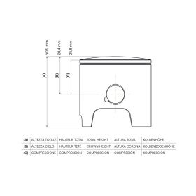 Malossi 2T Piston D 47,2 piston pin 12 2 rectangular segments