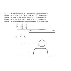 Malossi 2T Piston D 45,9 piston pin 12 2 rectangular segments