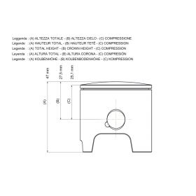 Pistone Malossi 2T D 50 spinotto 12 1 segmento rettangolare selezione A