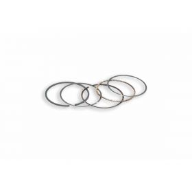 Malossi 4 stroke piston rings kit D 44