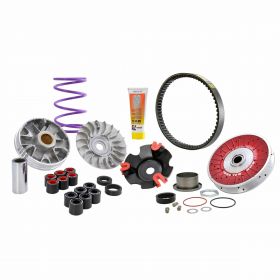 MALOSSI 6115780 Variator kit