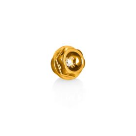 Paraxite M24x2 Gold Oil Cap se traduit en français serait Bouchon d'huile Paraxite M24x2 en or