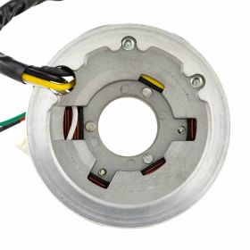 PIAGGIO Stator 90W 5 Spulen Drähte