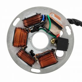 PIAGGIO Stator 290140 120W 5 Spulen und 5 Kabel enthalten