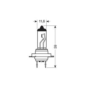 Lampada Alogena Pilot Xenon H7 100W 12V Px26d 2pz