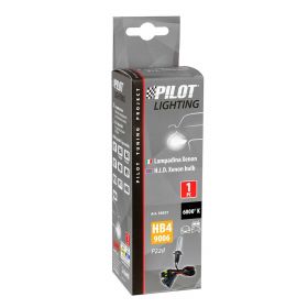 HID Xenon Pilot Birne 6.000K HB4 9006 12/24V