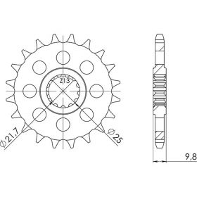 PIGNONE PASSO 428 - Z 19 DENTI (DIS.21400)