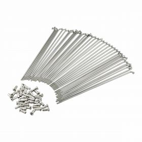 Raggio GPO acciaio inox per cerchione 17 ruota anteriore l=178 mm 2,9 mm con nipplo